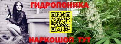 spice Обь