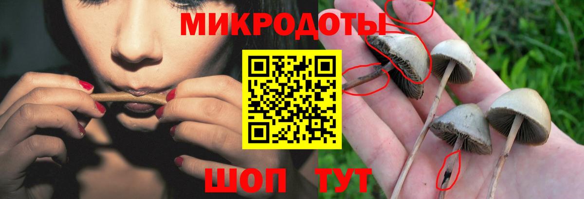 Нурлат  Псилоцибиновые грибы Psilocybe  Вход с VPN 